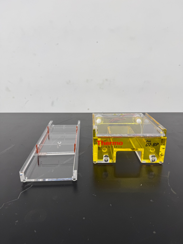 Image of Thermo Scientific Owl D2-BP Electrophoresis System